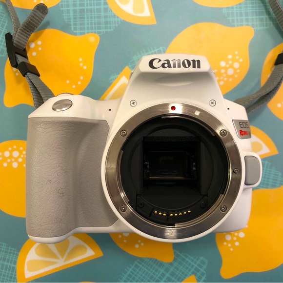 Canon EOS SL3 / 250D / Kiss X10 - Picture 3 of 11